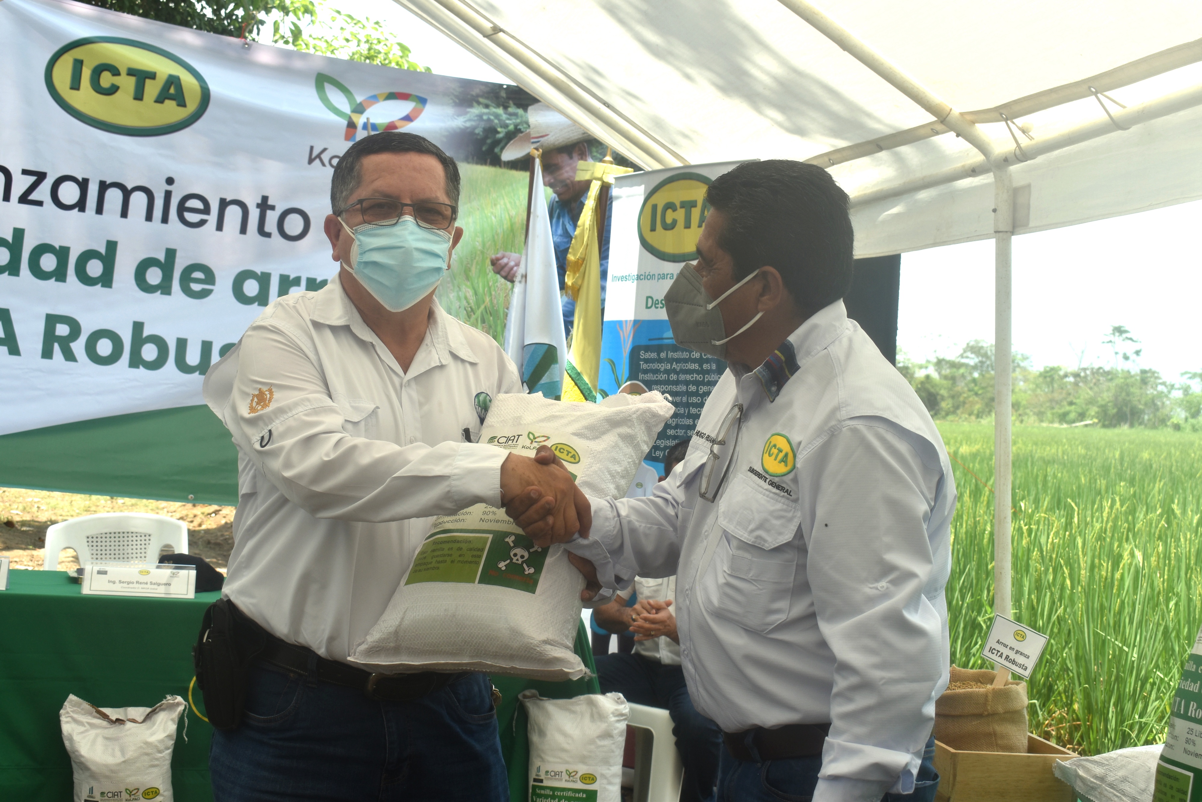 ICTA Robusta
